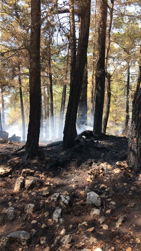 Antalya Da Ormanl K Alanda Yang N Kt Temas Haber G Ncel Kalmak