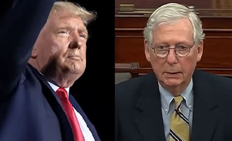 Trump-McConnell Feud Roils Republicans - CatholicVote org