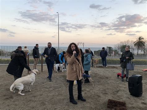 Ajuntament de Mataró on Twitter En marxa la nova àrea recreativa per