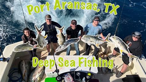 Jack Crevalle Mayhem Port Aransas Texas Deep Sea Fishing Ii Catch