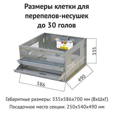 Клетки для перепелов размеры чертежи своими руками
