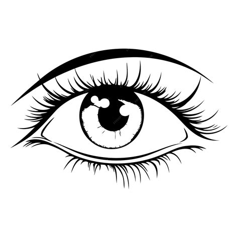 Premium Vector | Eye icon Black and white illustration of eye vector ...