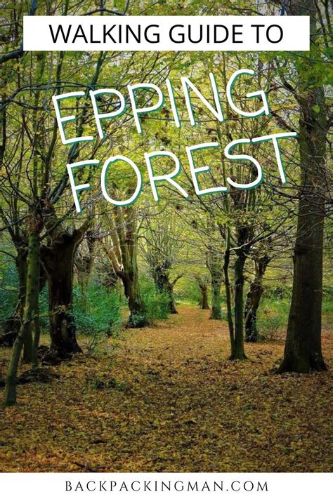 10 Best Epping Forest Walks To Do - Backpackingman