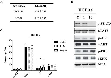 Frontiers A Novel Selective JAK2 Inhibitor Identified Using