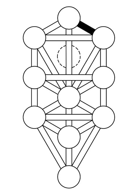 Tree Of Life Flashcards Memorang