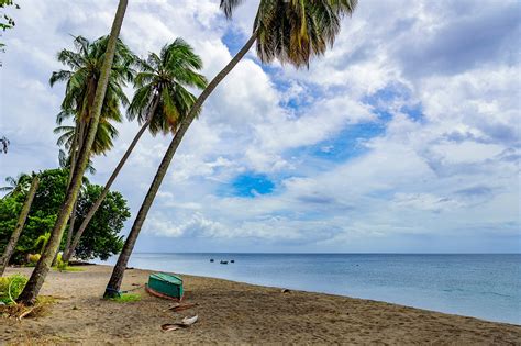 10 Best Beaches in Martinique - What is the Most Popular Beach in Martinique? – Go Guides