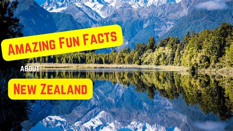 Amazing Fun Facts About New Zealand Youtube