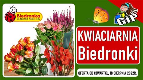 BIEDRONKA Oferta Od Czwartku 18 08 2022 Kwiaciarnia Biedronki YouTube