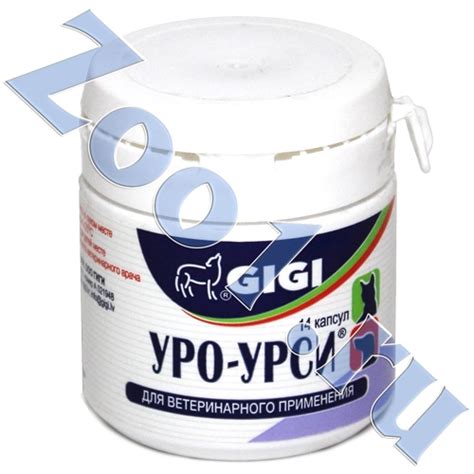 Уро-урси