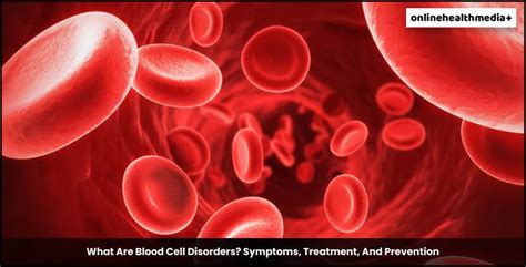 What Are Blood Cell Disorders? Symptoms, Treatment, And Prevention