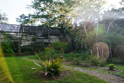 Exploring The Belize Spice Farm And Botanical Garden In Punta Gorda