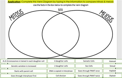 Meiosis Vs Mitosis Venn Diagram