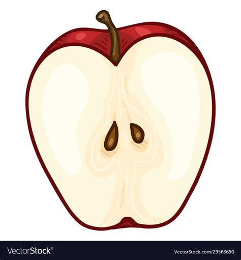 Cartoon half apple Royalty Free Vector Image - VectorStock