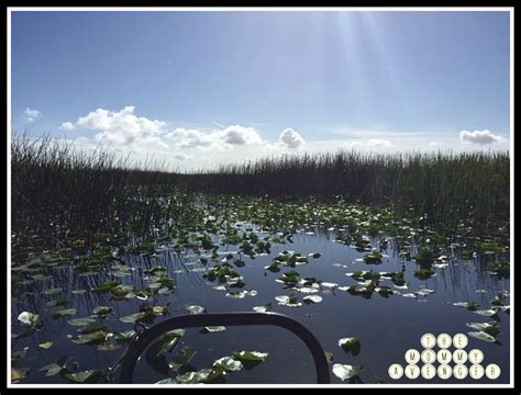 Boggy Creek Airboat Rides