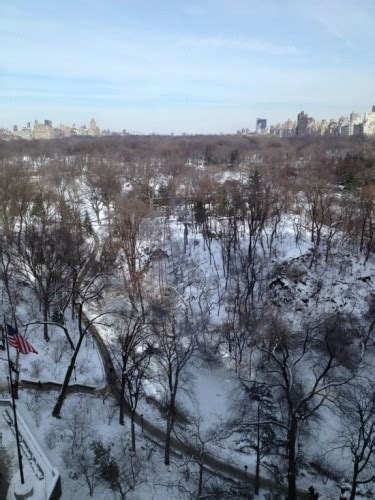 Snowy Central Park - NYC Single Mom