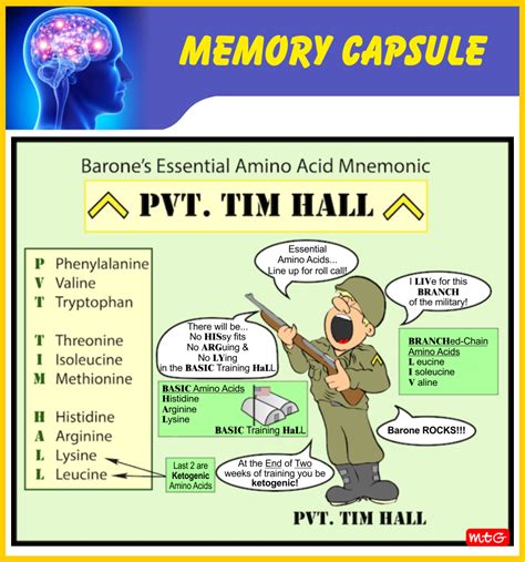 10 Important And Useful Mnemonics For Biology Students Mtg Blog