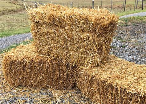 Landscape Paintings Erosion Control Straw