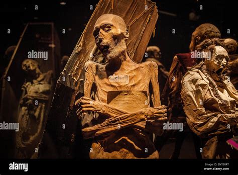 Museum of the Mummies, Guanajuato, state Guanajuato, Mexico Stock Photo ...