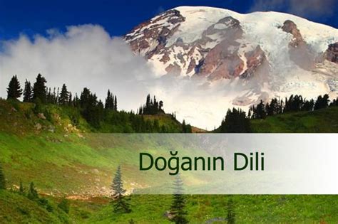 Doğadan Öğrenebileceğimiz Hayat Dersleri (Doğanın Dili)