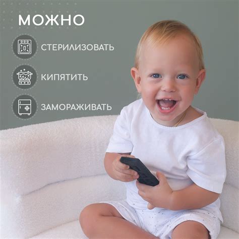 Прорезыватель Miyoumi Пульт купить по цене 349 ₽ в интернет-магазине ...