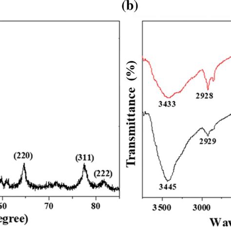 A Xrd Spectrum Of Aunps Syntheszied By Cell Free Extracts Of