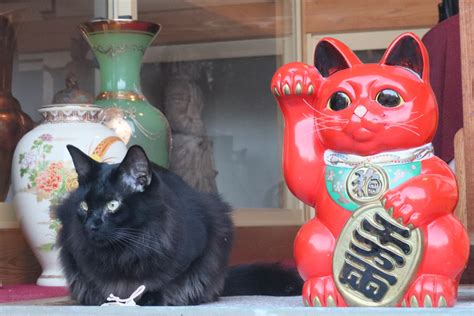 What Is Maneki Neko The Lucky Cat Japan Wonder Travel Blog