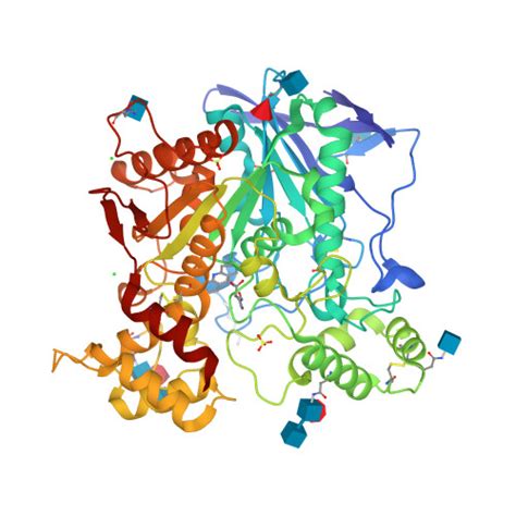 Rcsb Pdb 4bds Human Butyrylcholinesterase In Complex With Tacrine