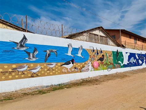 Mural De Plaza El Humedal De Cartagena Ya Se Encuentra Listo