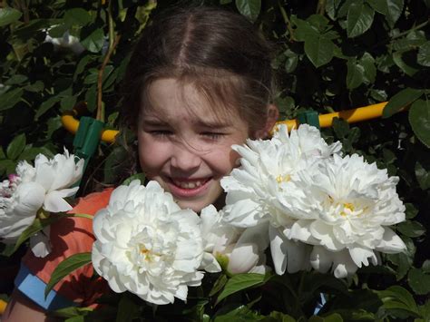 2015-06-17-Цветы-0097 | Род | Flickr