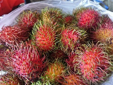 Fresh Rambutan Fruit Pacific Wild Pick