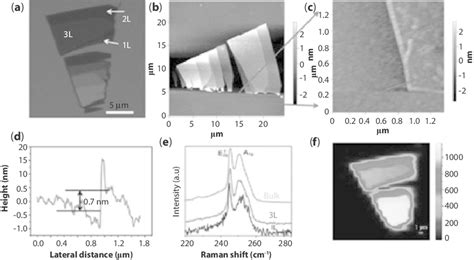 25 A Optical Image Of A WSe 2 Film Showing Monolayer 1L Bilayer