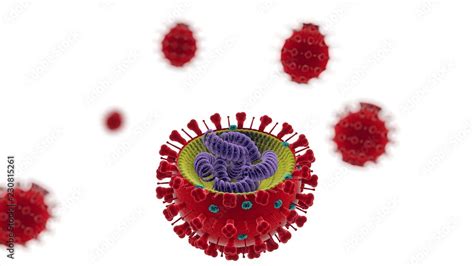 Virus dell’influenza, virus a RNA, vista al microscopio. L’influenza è ...