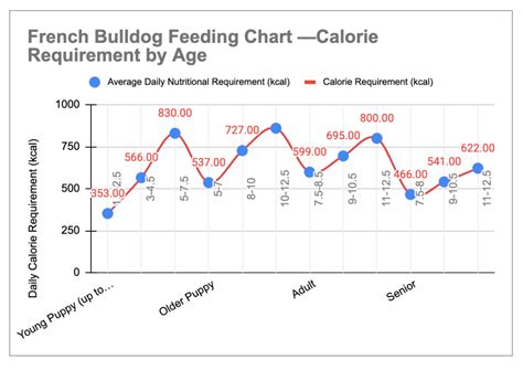 French Bulldog Feeding Guide UK – How Much to Feed? - WeWantDogs