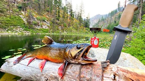 Fishing A Mountain Lake Filled With Hungry Trout Catch And Cook