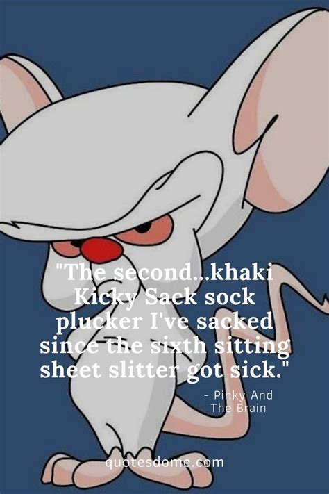 Pinky And The Brain Quotes Brains Quote American Cartoons Cartoons