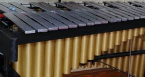 Marimba Vs Xylophone, Vibraphone & Glockenspiel Comparison