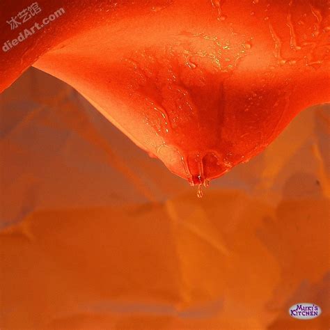 Advantageous Chicken Roast XXX Porn Album 402223