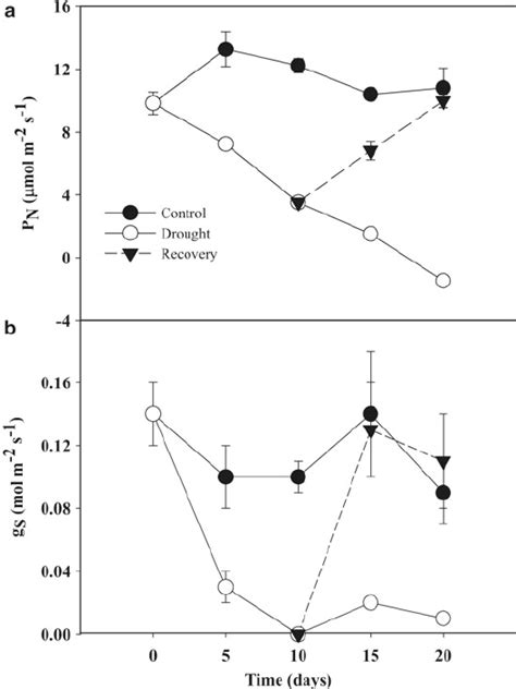 9 Leaf CO Assimilation Rate A And Stomatal Conductance B In J