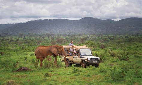 Day Mombasa Amboseli Air Safari Amboseli By Flight Mombasa