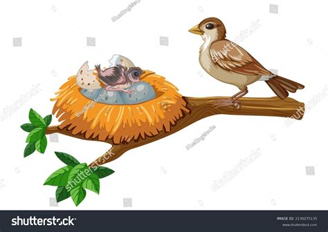 English Sparrow Eggs