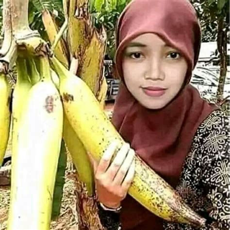 Jual Pisang Tanduk Jumbo Shopee Indonesia