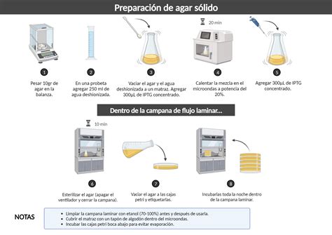 Preparación de agar sólido | BioRender Science Templates