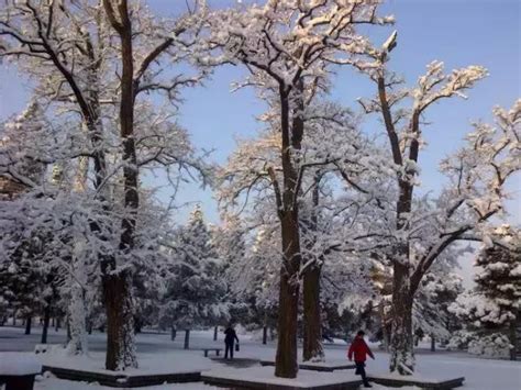 北京终于下雪了这些地方成了最美的雪景观赏地 下雪 京城 皇宫 新浪新闻