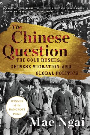 The Chinese Question Mae Ngai W W Norton Company