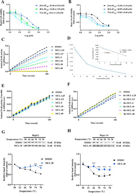 Mcl Inhibits The Trxr Activity And The Growth Of Two Hcc Cells A And Download Scientific