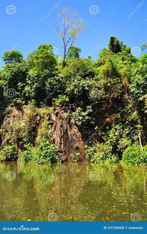 Quarry at Bukit Batok Nature Park Stock Photo - Image of garden, plants ...