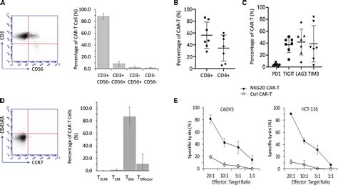 Manufacturing Nkg2d Car T Cells With Piggybac Transposon Vectors And