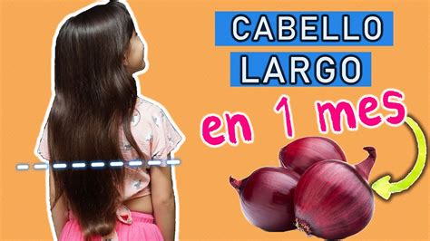 Arriba Imagen Receta De Shampoo Con Cebolla Abzlocal Mx