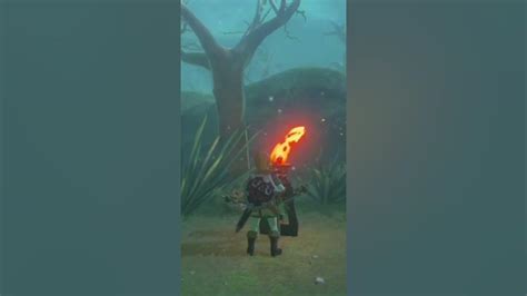 Cómo Conseguir Flechas En Zelda Breath Of The Wild 🏹 Flechas