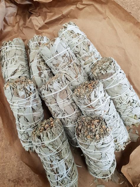 Californian White Sage - The Hemp Superstore®